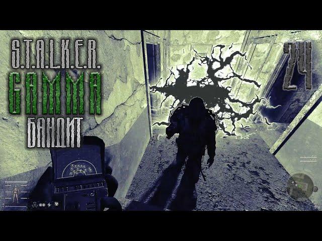 #24 ▲ S.T.A.L.K.E.R. Anomaly GAMMA ▲ В поисках напарников