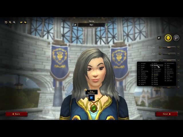 WoW Shadowlands - Character customization overview - Noob Skool - MGN World of Warcraft