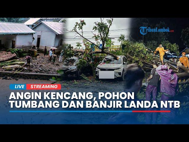  WASPADA Dampak Cuaca Ekstrem, Angin Kencang, Pohon Tumbang, Banjir Landa Sejumlah Wilayah di NTB