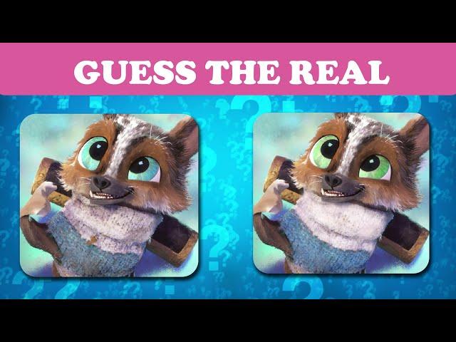 Guess The Real Puss In Boots 2 Character| Puss In Boots: The Last Wish  Quiz