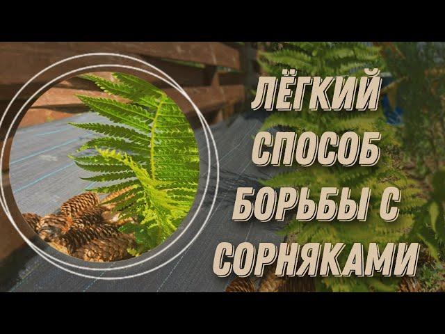 Как избавиться от сорняков? ЭФФЕКТ(ИВ)НЫЙ СПОСОБ БОРЬБЫ С СОРНЯКАМИ! Сорнякам бой!