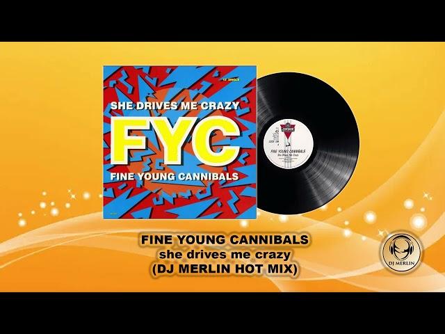 FINE YOUNG CANNIBALS - she drives me crazy (DJ MERLIN HOT MIX)