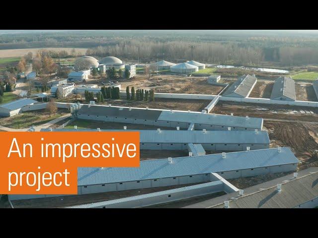 Modern pig farm in Poland  | Big Dutchman equips farm for 6,000 sows