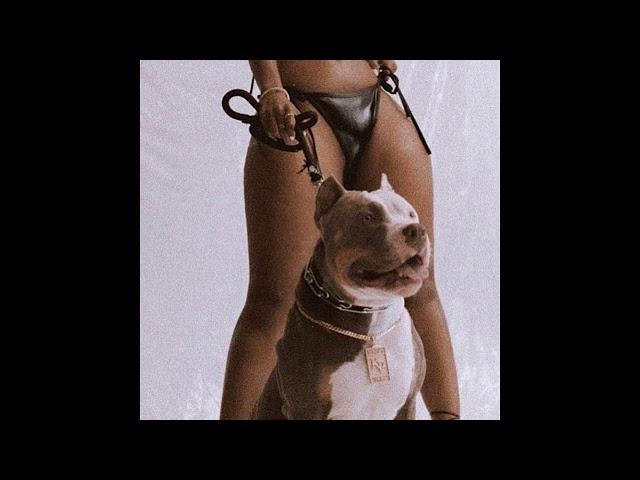 [FREE] 21 Savage x ScHoolboy Q Type Beat - Blood Hound