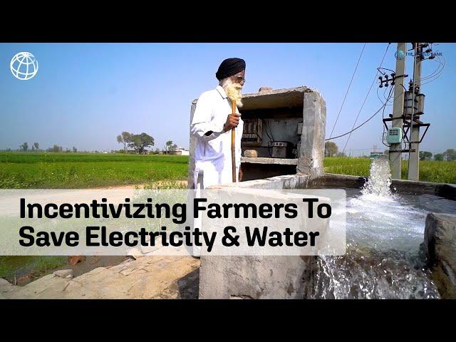 Incentivizing Farmers in Punjab, India, To Save Electricity and Water