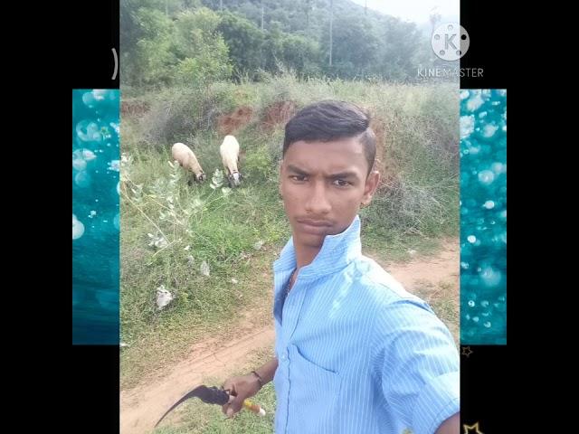 aravind vijay