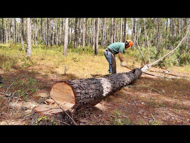 Old School Framing Lumber