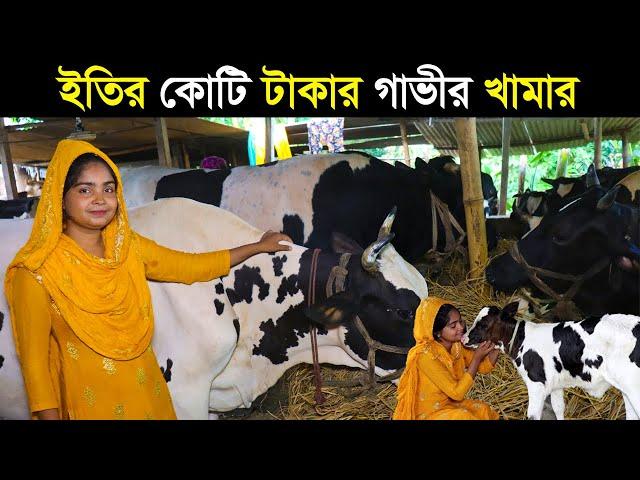 ইতি'র গাভী পালন। গাভীর খামার করে কোটি টাকা আয়ের সপ্ন নারী উদ্যোক্তা ইতি আপুর।Cow Farming