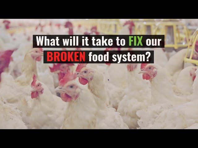 Extinction Or Regeneration: a game-changing international food systems conference