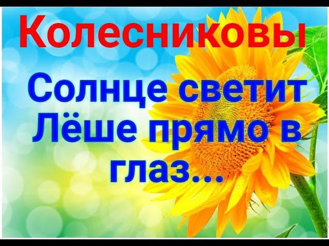 Колесниковы/Солнце/Обзор влогов