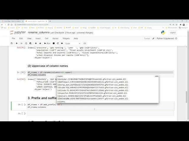 How to rename columns of Pandas DataFrame