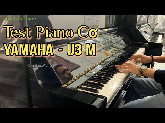 Test Piano Cơ Yamaha - U3M | Made In Japan | Tuấn Lưu Piano