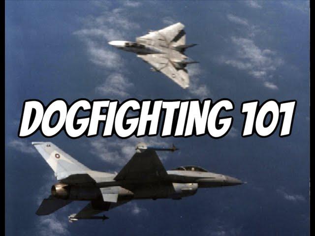 Dogfighting 101