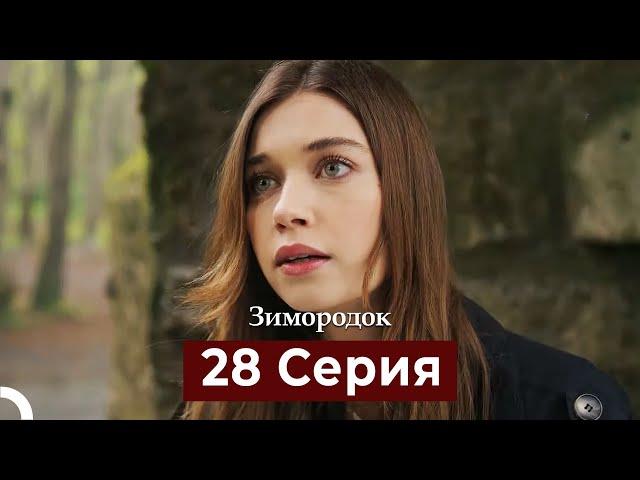 Зимородок 28 Cерия (Русский дубляж)