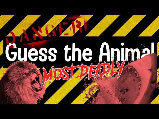Guess the Animal Sound Game | Most Deadly Animal Quiz