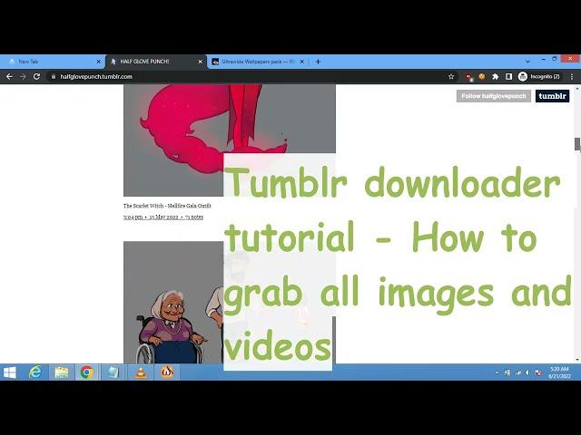 Tumblr downloader - How to download all tumblr images and videos at once