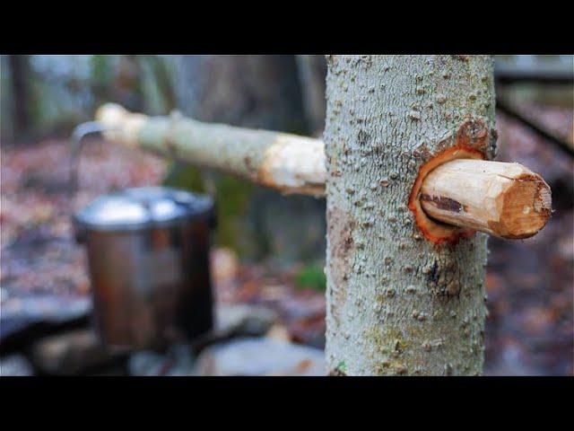 Bushcraft Joinery - COOLEST POT HANGER EVER