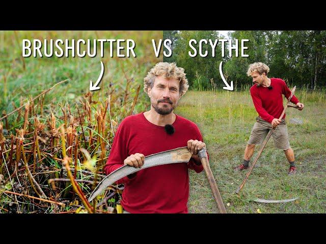 Why we use scythes instead of a brushcutter | MOWING MEADOWS E03: Lagmansro vs Styra