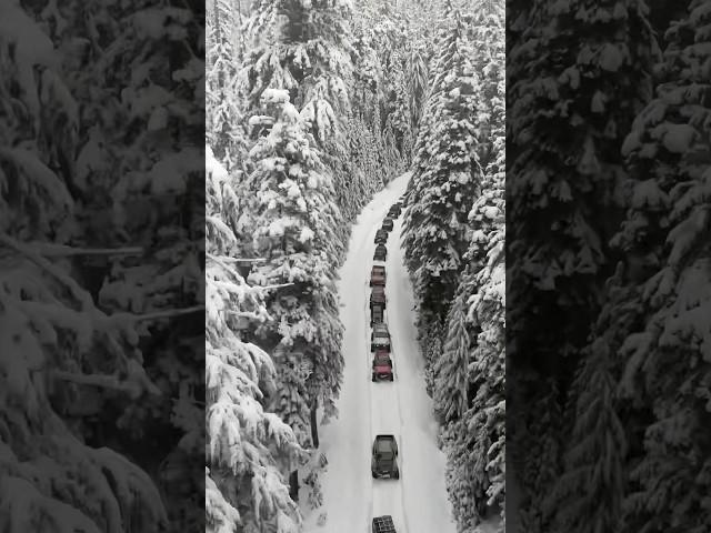 Deep snow! #jeeptj #jeep #offroad #tj #snow #snowwheeling #pnw #toyota4x4 #toyota #4runner #4x4 #40s