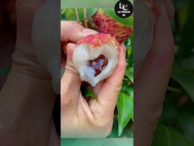 Farm fresh ninja fruit cutting #41 | Ly Chynh St  #shorts