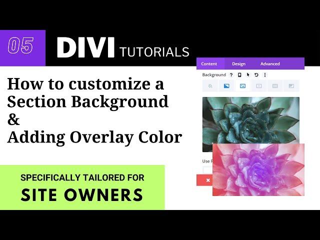 How to customize a section background and add overlay colour | Divi tutorial for beginners