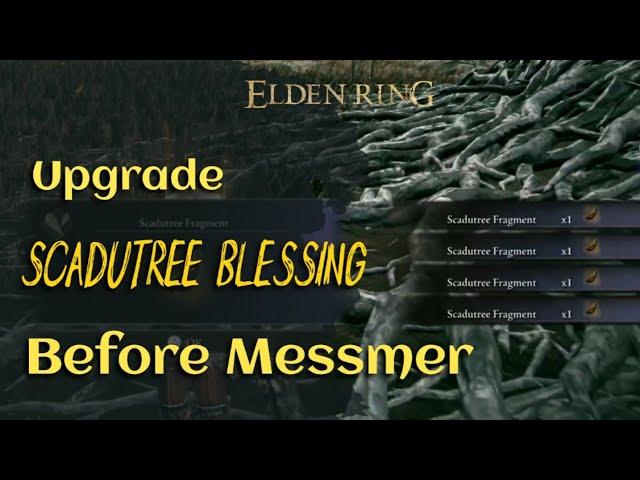 How to get 5 Scadutree Fragment at once before Messmer | Elden Ring DLC Shadow of the Erdtree