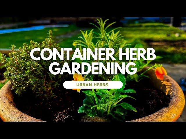 Herb Container Gardening for a new home