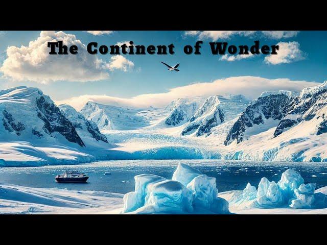 Discover the Wonders of Antarctica! ️