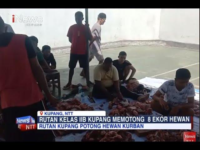 iNews NTT - Idul Adha 1444 H, Rutan Kupang Sembelih 8 Ekor Hewan Kurban