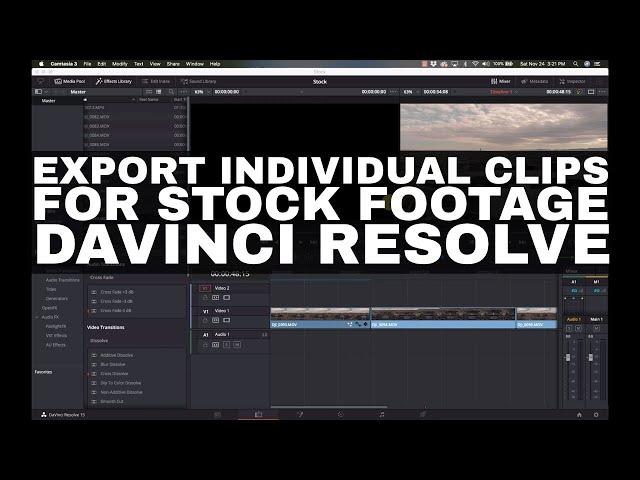 Exporting Individual Clips for Stock Footage - Davinci Resolve