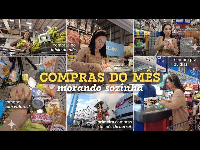 COMPRAS DO MÊS MORANDO SOZINHA | Vlog no mercado + guardando as compras