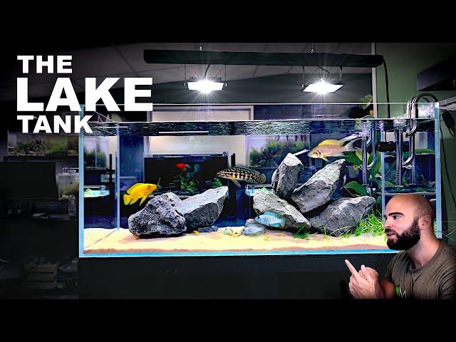 Aquascape Tutorial: EPIC 4ft African Cichlid Aquarium - Lake Tanganyika (How To Step By Step Guide)