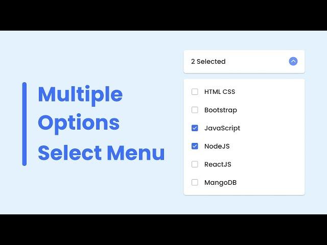 Multiple Options Select Menu in HTML CSS & JavaScript