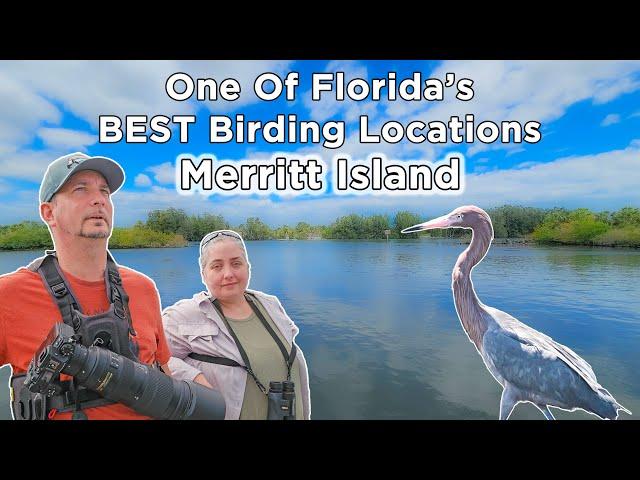 One of Florida's BEST BIRDING Locations: Merritt Island National Wildlife Refuge