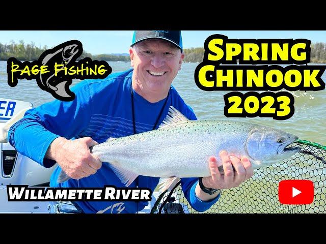 SPRING CHINOOK 2023 - WILLAMETTE RIVER SPRINGER FISHING - Trolling Triangle Flashers and Herring.