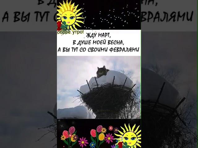 Ну что там. Вёсны не видать ....