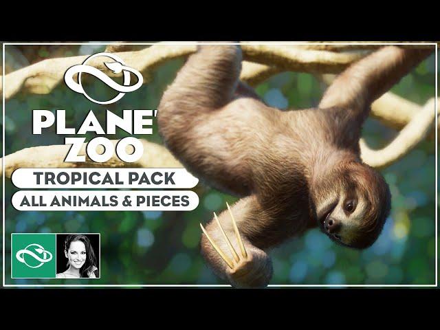 ▶ Planet Zoo Tropical Pack: All Animals & All Pieces Overview | New DLC Features & Gameplay