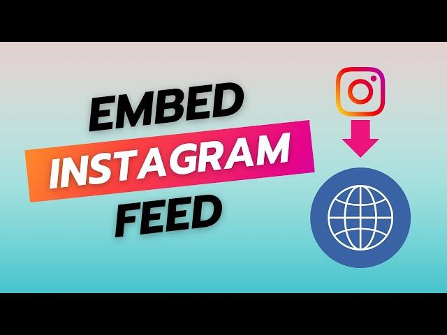 Embed Instagram Feed on Website With #idukki 