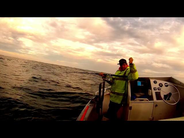 Crayfishing WA, jurien bay