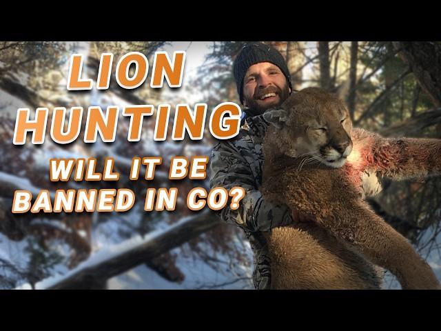 Will LION HUNTING Be Banned in Colorado? - With Dan Gates