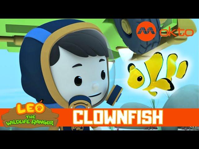 HELP! There's a CLOWNFISH  in my bucket! | Leo the Wildlife Ranger Spinoff S5E10 | @mediacorpokto