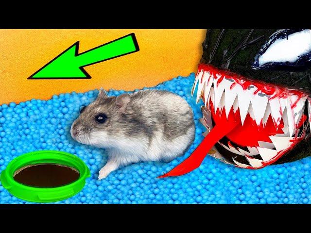   VENOM Hamster Maze with Traps [OBSTACLE COURSE]