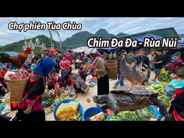 Chợ phiên độc đáo nhất Điện Biên- Bất ngờ xuất hiện chim Đa Đa và Rùa Núi