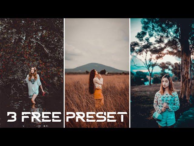 presets free download photoshop | Adobe camera raw presets | new 2024