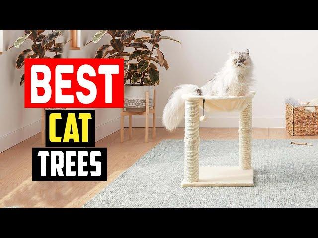 Best Cat Trees in 2023