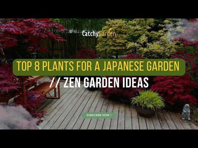 Top 8 Plants for a Japanese Garden // Zen Garden Ideas 