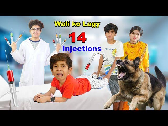 Wali ko Lagy 14 injections | Kutte ne kat lia | MoonVines