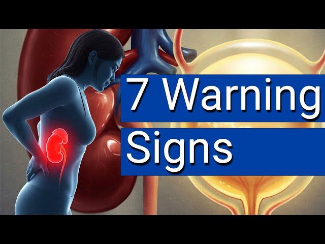 7 Surprising Signs of Kidney Trouble: What Your Body Is Telling You