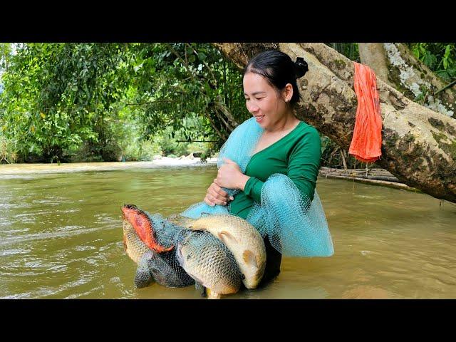 A wonderful day: Harvesting big fish with traditional nets  | Tin's Daily Life