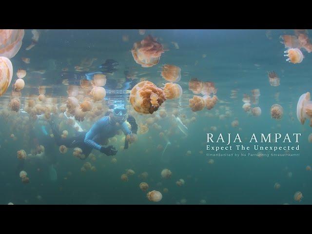 Raja Ampat | Expect the unexpected with Raja Manta Liveaboard 2017